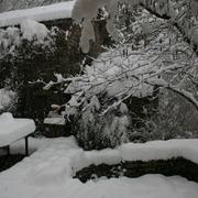 Riols 09/03/2010