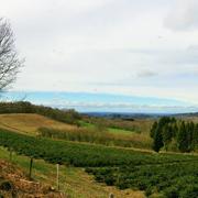 Ouroux-en-Morvan 10/04/2018