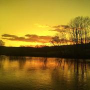 Chouzelot 11/04/2018