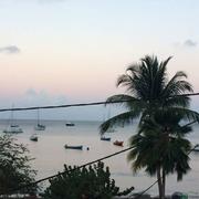 Les Anses-d'Arlet 11/04/2018