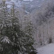 Enchastrayes 12/04/2018