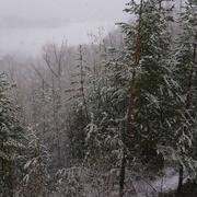 Enchastrayes 12/04/2018