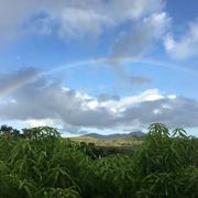 Rivière-Salée 13/04/2018