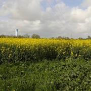 Saint-Cyr-en-Talmondais 15/04/2018