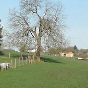 Libramont-Chevigny 17/04/2018