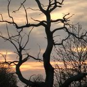 Brizambourg 17/04/2018