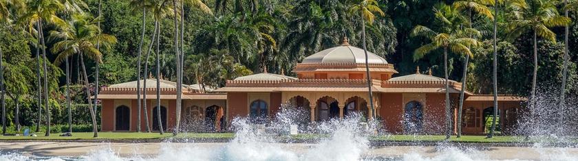 Jouer les stars sur l'île Moustique