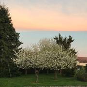 Milly-sur-Thérain 20/04/2018