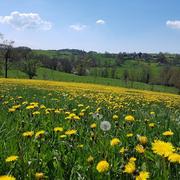 Saint-Symphorien-sur-Coise 20/04/2018
