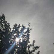 Longchamp 22/04/2018