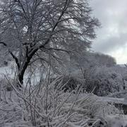 Montfranc 22/04/2018