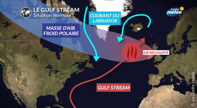Affaiblissement du Gulf Stream : quelles conséquences sur notre climat ? -  Actualités La Chaîne Météo