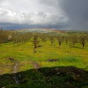 Sérignac-Péboudou 29/04/2018