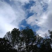 Saint-Symphorien-sur-Saône 30/04/2018