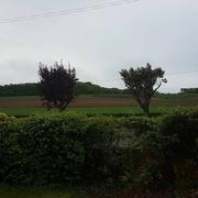 Maresquel-Ecquemicourt 02/05/2018