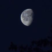 Bonnemaison 05/05/2018