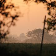 Bonnemaison 06/05/2018