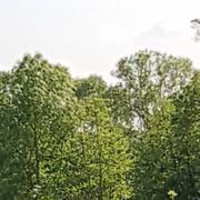 Bazouges-sur-le-Loir 06/05/2018