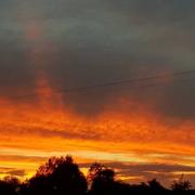 Écorpain 12/05/2018