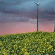 Chemillé-sur-Dême 12/05/2018