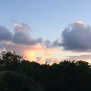 Le Bernard 12/05/2018