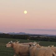 Maizières-lès-Vic 13/05/2018