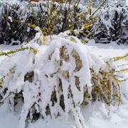 La Cabanasse 13/05/2018