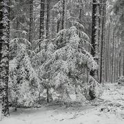 Burdignes 13/05/2018