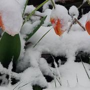 Burdignes 13/05/2018