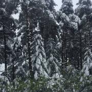 Les Bondons 13/05/2018