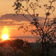 Réquista 20/05/2018