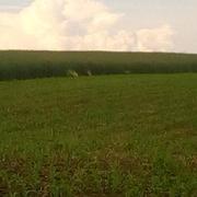 Birlenbach 21/05/2018