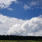 Savigny-lès-Beaune 22/05/2018