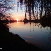 Villiers-Charlemagne 22/05/2018