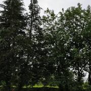 Le Cellier 26/05/2018