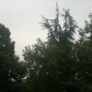 Savigny-lès-Beaune 27/05/2018