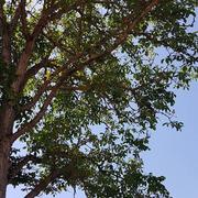 Saint-Laurent-Nouan 27/05/2018