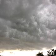 Le Bernard 28/05/2018