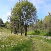 Septmoncel 30/05/2018