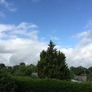 Fougerolles-du-Plessis 30/05/2018