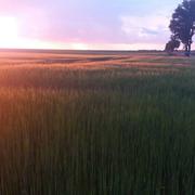 Saint-Escobille 30/05/2018