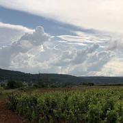 Pernand-Vergelesses 31/05/2018