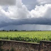 Aloxe-Corton 01/06/2018