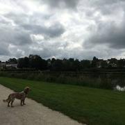 Fougerolles-du-Plessis 01/06/2018