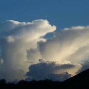 Froideconche 01/06/2018