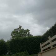 Saint-Germain-de-Tallevende-la-Lande-Vaumont 02/06/2018