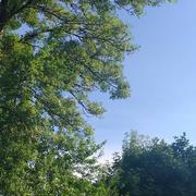 Champagnac-de-Belair 02/06/2018