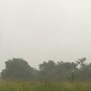 L'Isle-de-Noé 06/06/2018