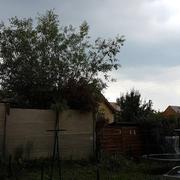 Champagné 09/06/2018