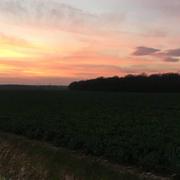 Saint-Pierre-de-Jards 10/06/2018